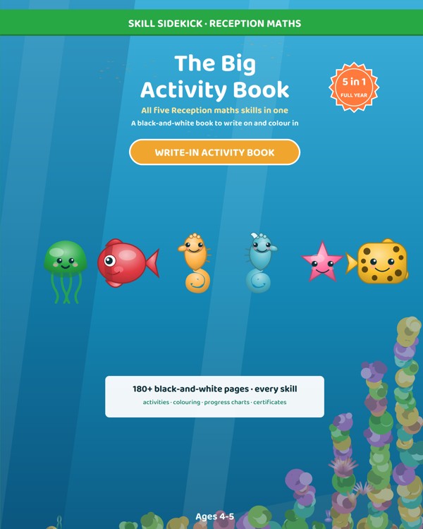 The Big Reception Maths Activity Book cover
