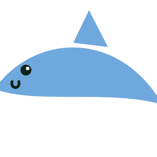 Echo the dolphin